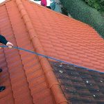 Roof cleaning